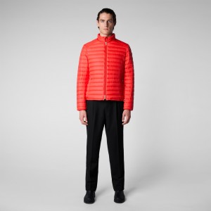 Save The Duck Alexander Puffer Jacket Rojas | ROUCL7604