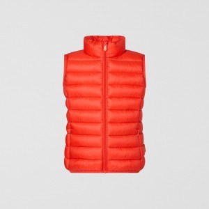 Save The Duck Andy Puffer Vest Rojas | ZBINO6231