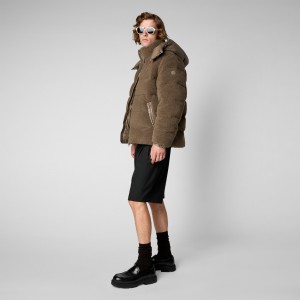 Save The Duck Cereus Puffer Jacket Gris | SQHDN8416