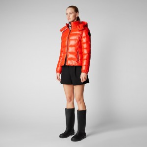 Save The Duck Cosmary Puffer Jacket with Detachable Hood Rojas | JSPLN5982