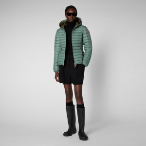 Save The Duck Daisy Encapuchado Puffer Jacket Verde | CUELK2941