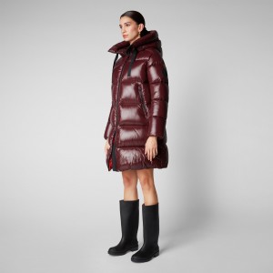Save The Duck Isabel Encapuchado Puffer Coat Burdeos Negras | MWOIG5164