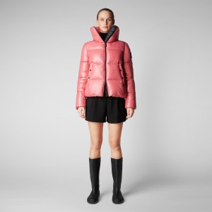 Save The Duck Isla Puffer Jacket Rosas | UBRQT4125