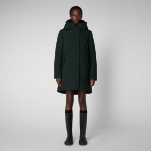 Save The Duck Nellie Encapuchado Parka Verde Negras | BIPZF2951