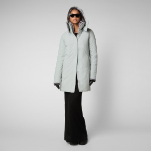 Save The Duck Samantah Encapuchado Parka with Faux Fur Lining Gris | DSVNZ2564