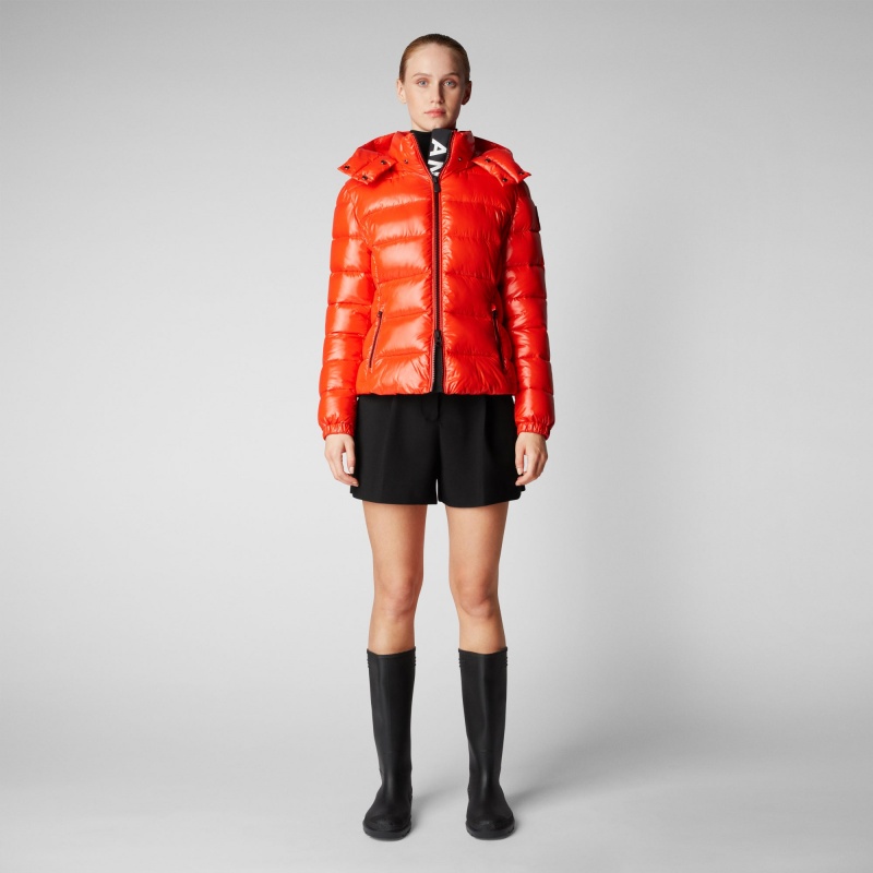 Save The Duck Cosmary Puffer Jacket with Detachable Hood Rojas | JSPLN5982
