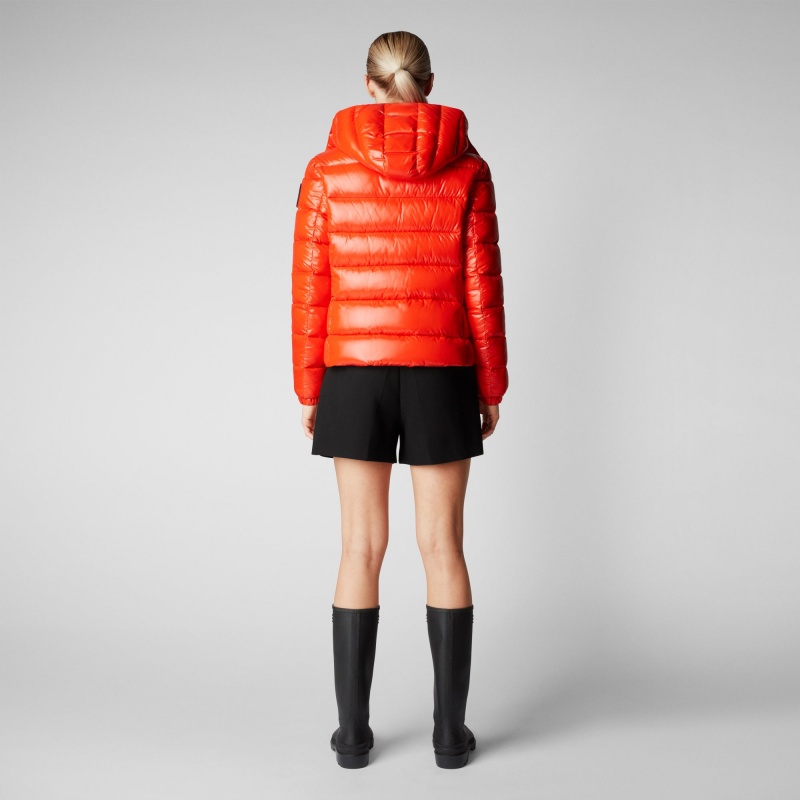Save The Duck Cosmary Puffer Jacket with Detachable Hood Rojas | JSPLN5982