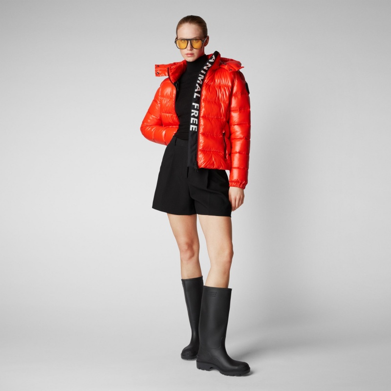 Save The Duck Cosmary Puffer Jacket with Detachable Hood Rojas | JSPLN5982