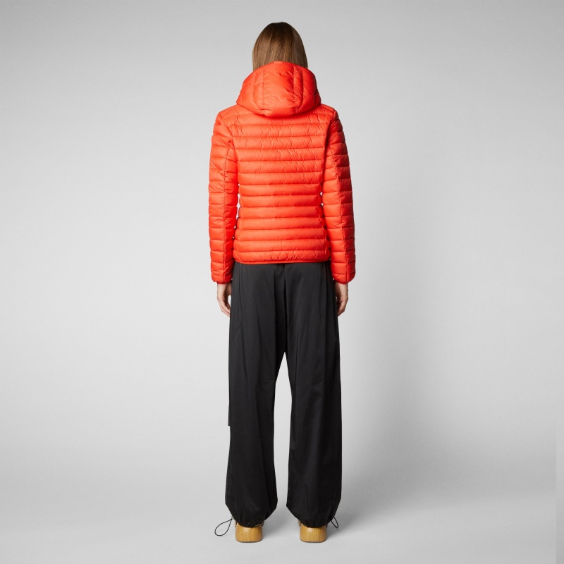 Save The Duck Daisy Encapuchado Puffer Jacket Rojas | RYJWL4301