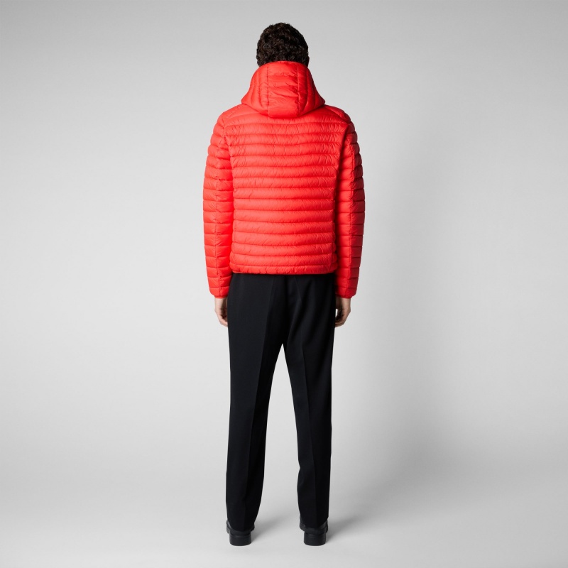 Save The Duck Donald Encapuchado Puffer Jacket Rojas | ZITRG5798