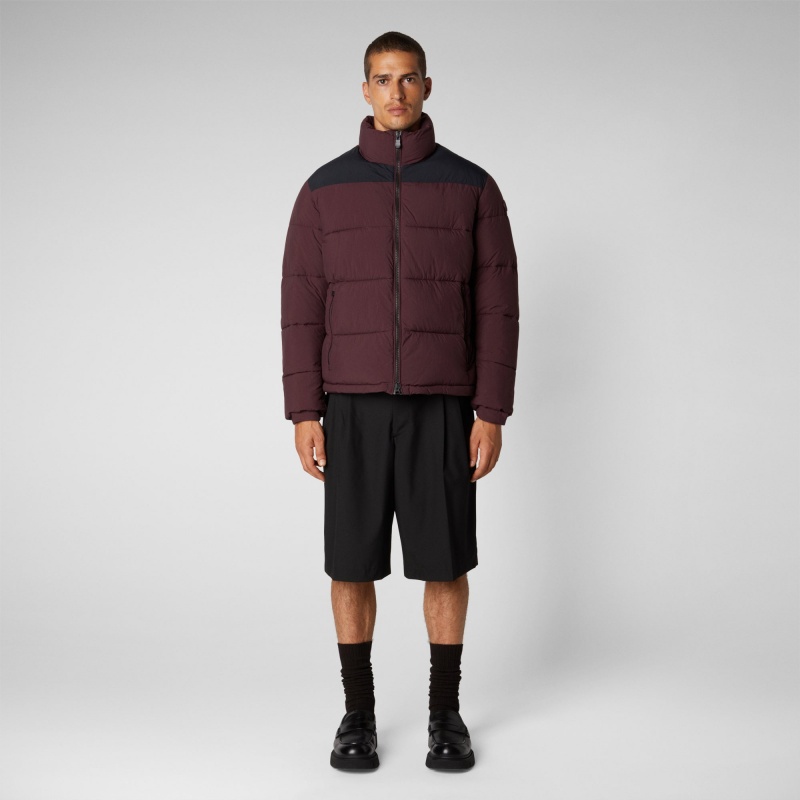 Save The Duck Taxus Jacket Burdeos Negras | ONTHX5219
