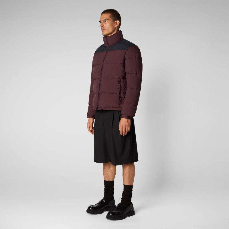 Save The Duck Taxus Jacket Burdeos Negras | ONTHX5219