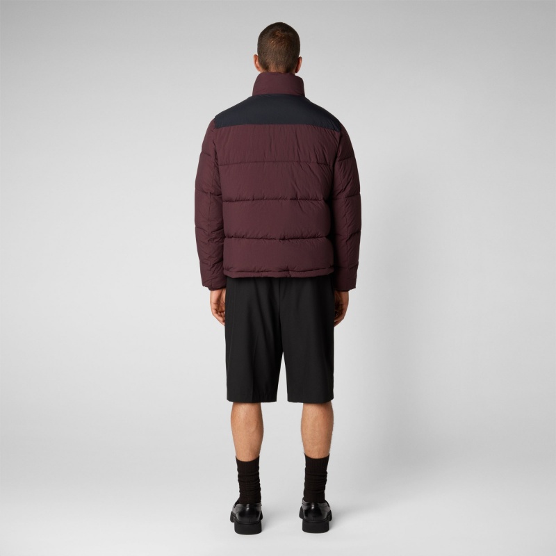 Save The Duck Taxus Jacket Burdeos Negras | ONTHX5219
